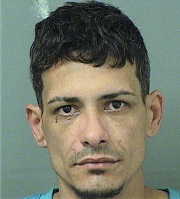 Andre Rodriguez, - Palm Beach County, FL 